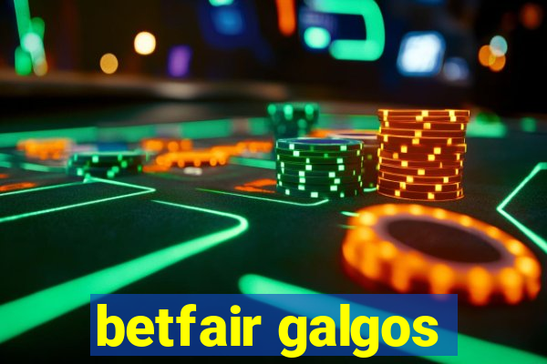 betfair galgos